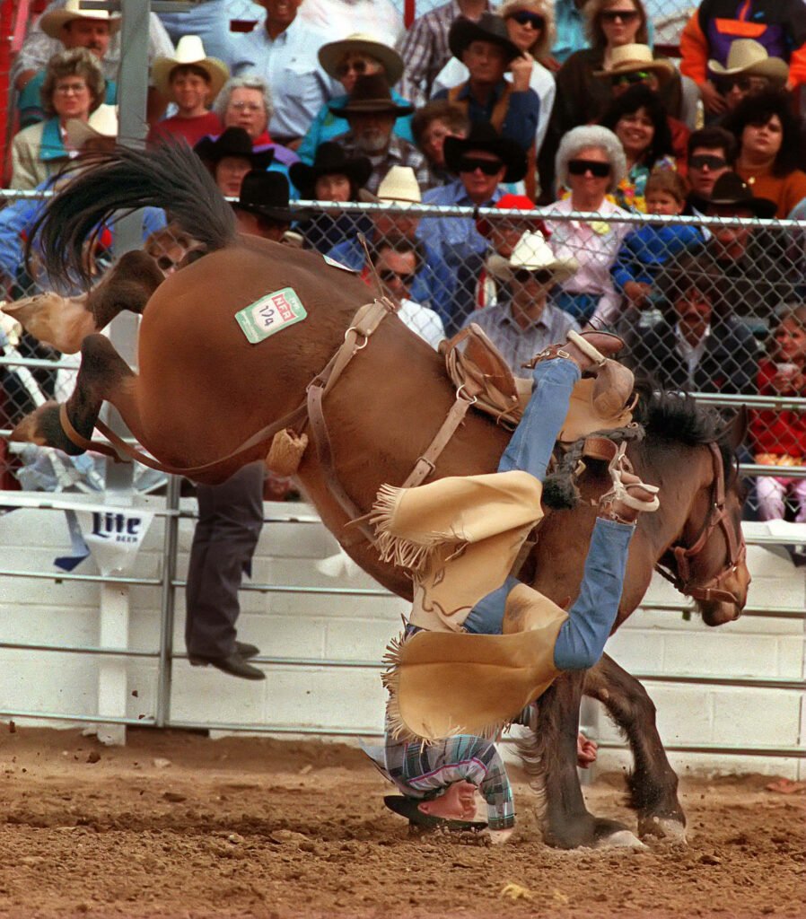 Rodeo rider thrown upward beside a bucking horse