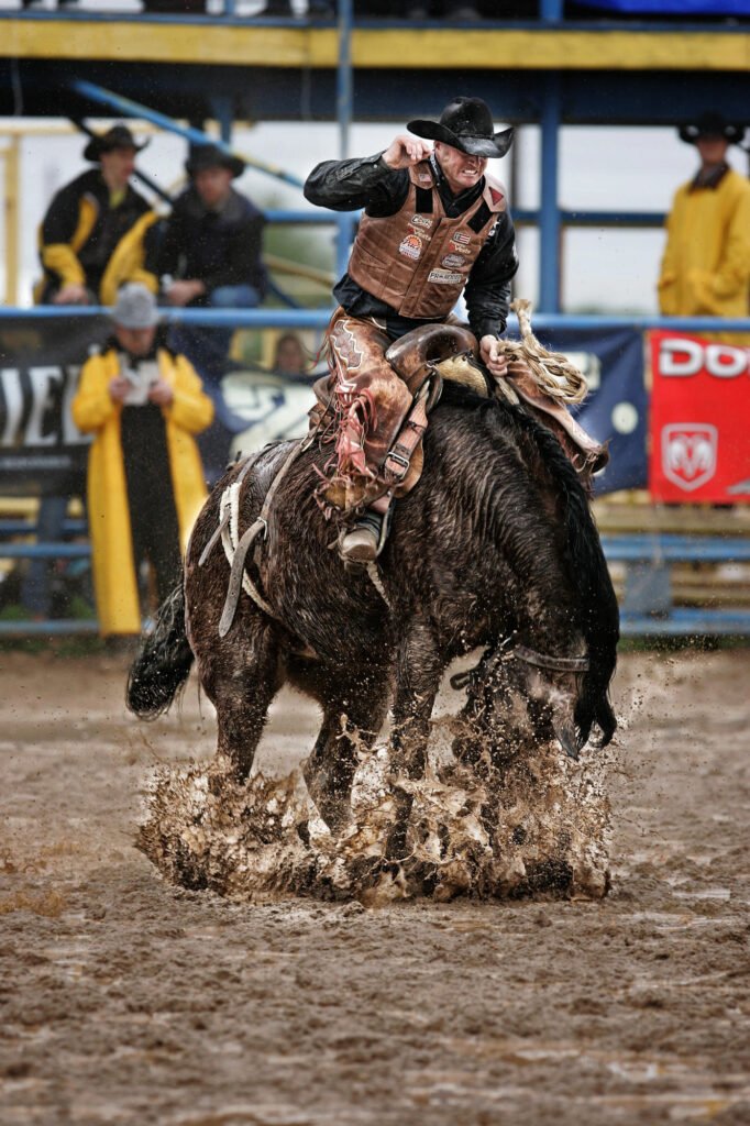 Rodeo rider holding on to a bucking bull